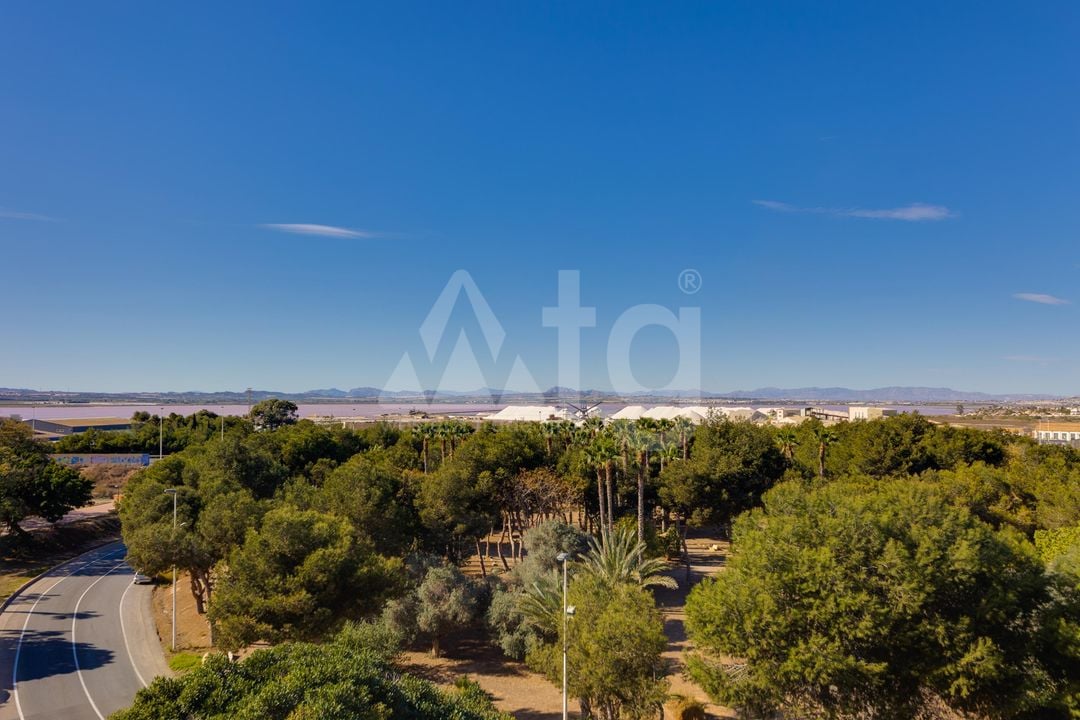2 bedroom Apartment in Torrevieja - PPS134867 - Photo - 34