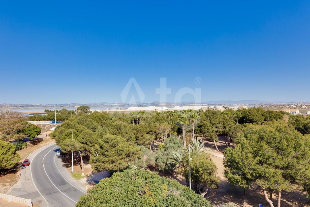 2 bedroom Apartment in Torrevieja - PPS134867 - Photo - 32
