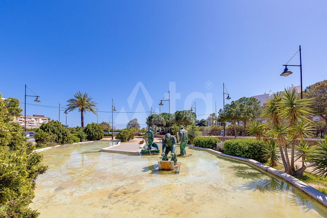 2 bedroom Apartment in Torrevieja - PPS134867 - Photo - 35