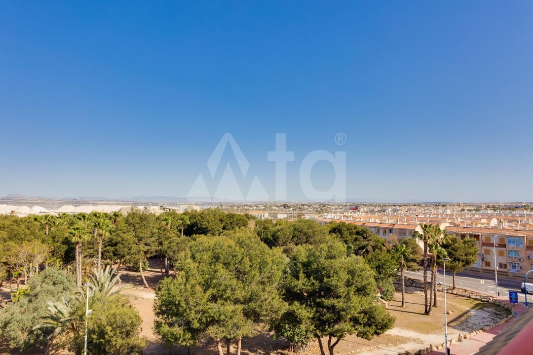 2 bedroom Apartment in Torrevieja - PPS134867 - Photo - 36