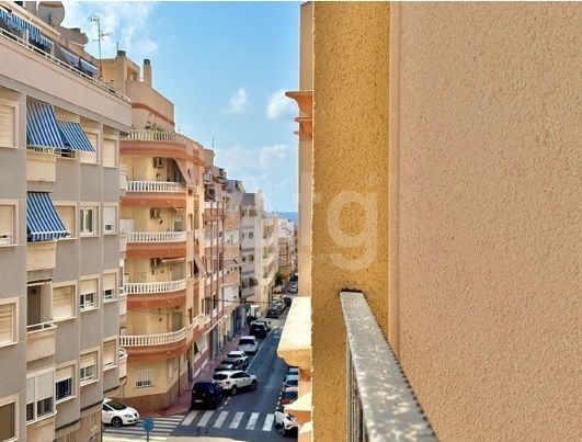 Appartement de 2 chambres à Torrevieja - PPS134921 - Photo - 17