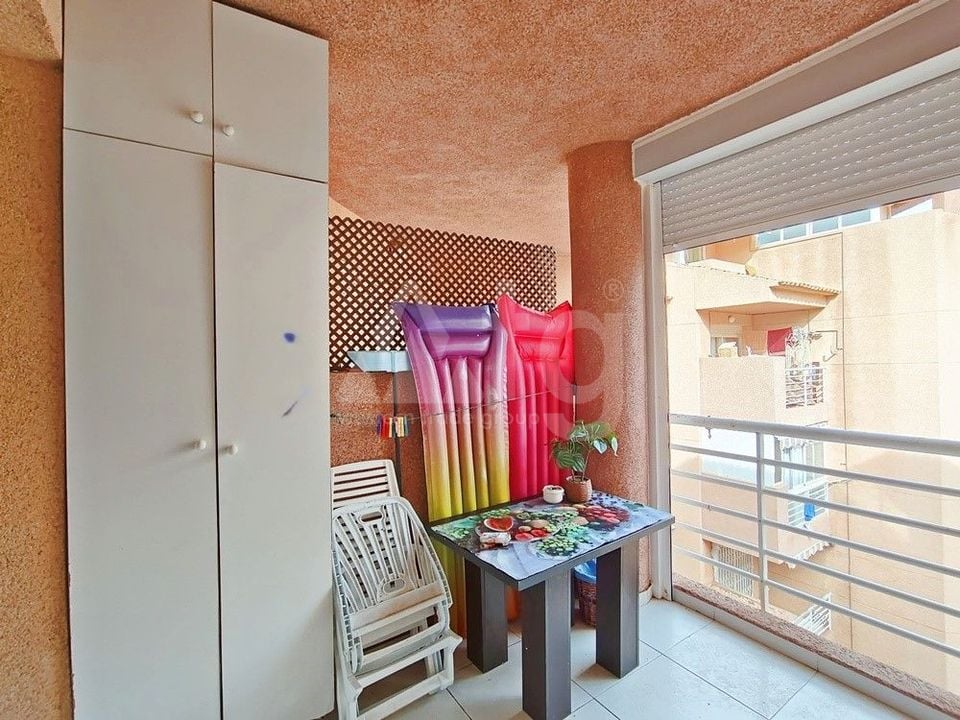 1 bedroom Penthouse in Torrevieja - PPS134927 - Photo - 12