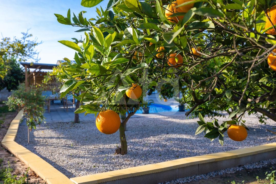 3 bedroom Villa in Los Montesinos - PPS153296 - Photo - 33
