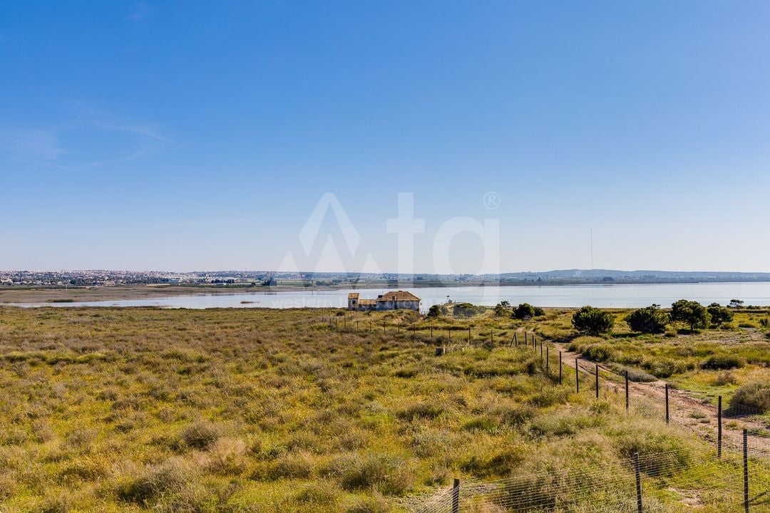 3 bedroom Villa in Los Montesinos - PPS153296 - Photo - 41