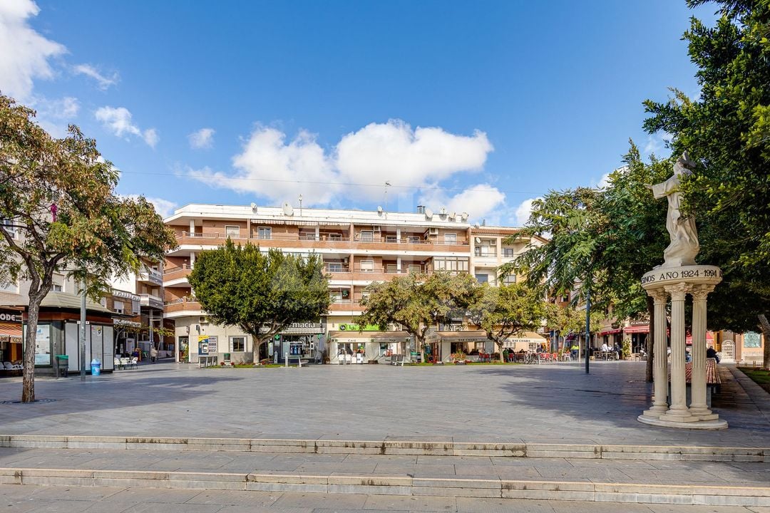 3 bedroom Villa in Los Montesinos - PPS153296 - Photo - 38