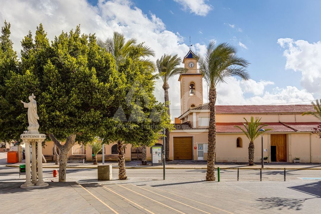 3 bedroom Villa in Los Montesinos - PPS153296 - Photo - 39