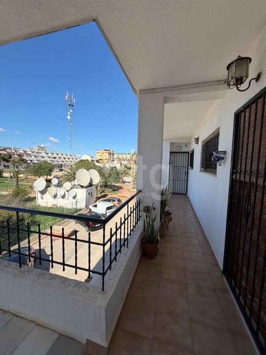 2 bedroom Apartment in Punta Prima - HRE135385 - Photo - 20