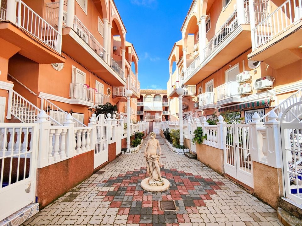 Penthouse de 2 chambres à Torrevieja - HSI135483 - Photo - 41