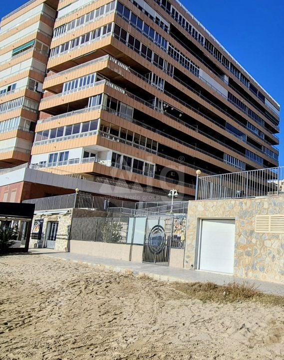 Appartement de 3 chambres à Torrevieja - PPS135578 - Photo - 2
