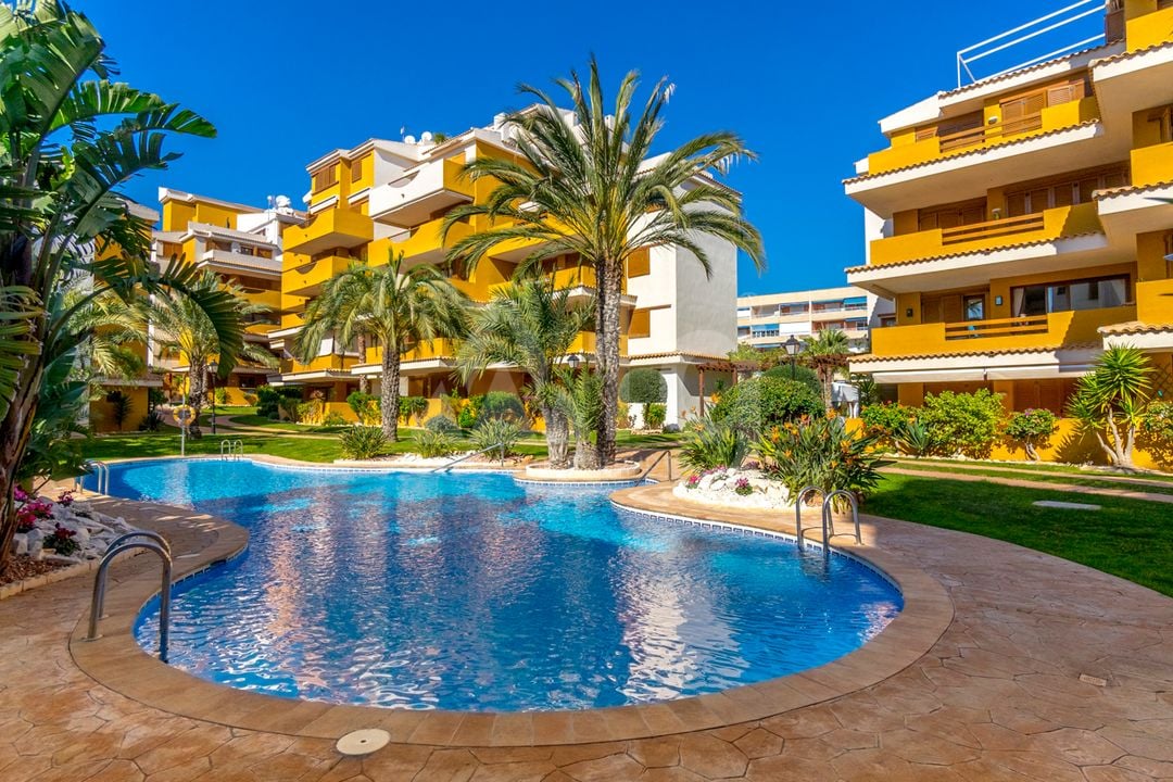 2 bedroom Apartment in Torrevieja - B135926 - Photo - 32