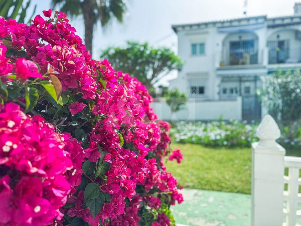 1 Schlafzimmer Bungalow in Torrevieja - LEA135959 - Foto - 13