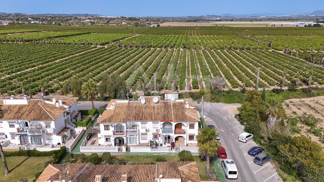 1 Schlafzimmer Bungalow in Torrevieja - LEA135959 - Foto - 16