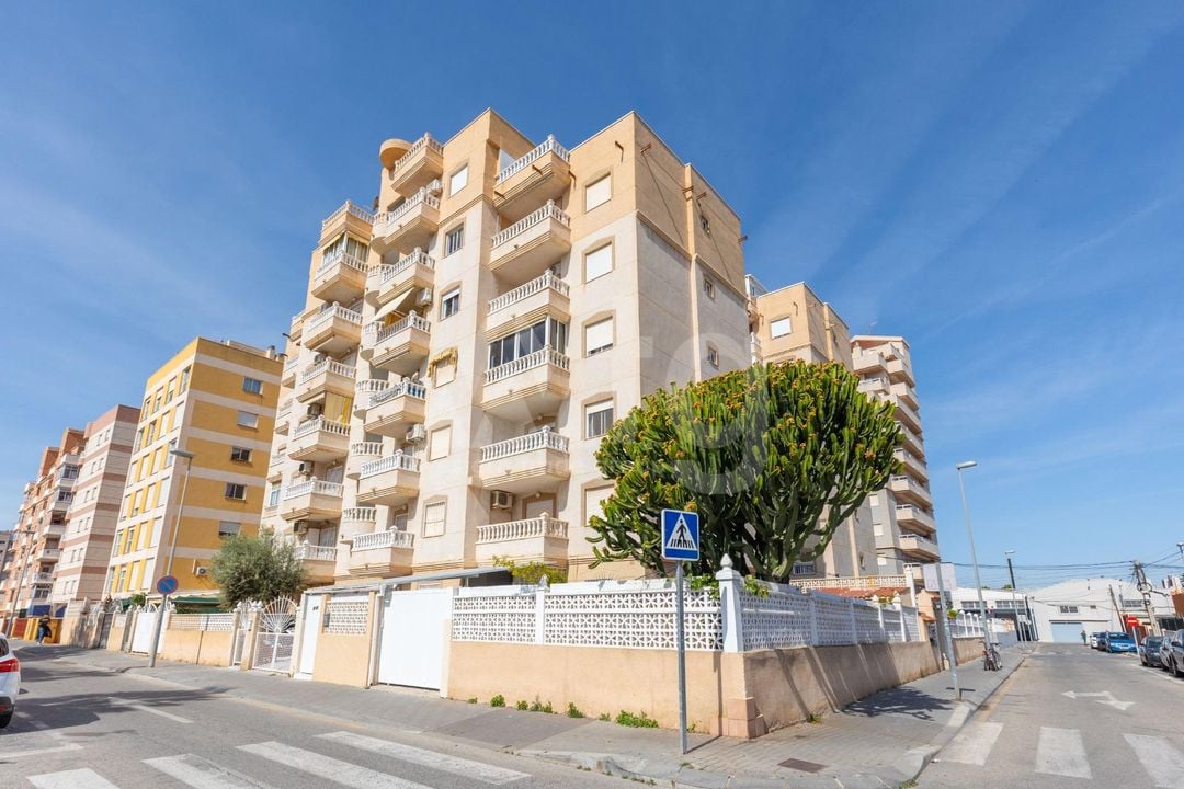 2 bedroom Apartment in Torrevieja - GVS136293 - Photo - 26