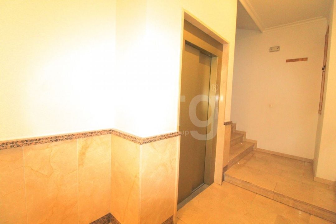 Appartement de 2 chambres à Torrevieja - ALM136294 - Photo - 27