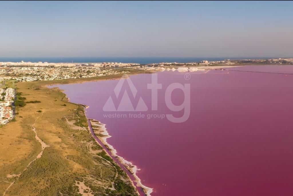 Vilă cu 4 dormitoare în Torrevieja - CBB136454 - Imagini - 21