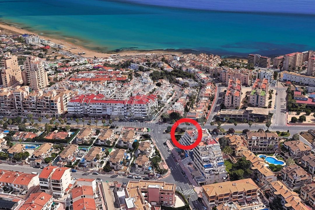 2 bedroom Apartment in Torrevieja - SV136567 - Photo - 25