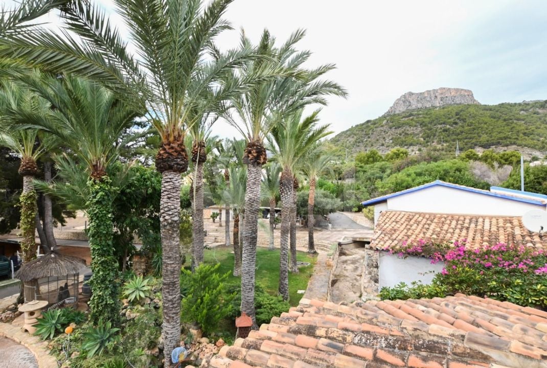 4 bedroom Plot in Calpe - ESP136739 - Photo - 34