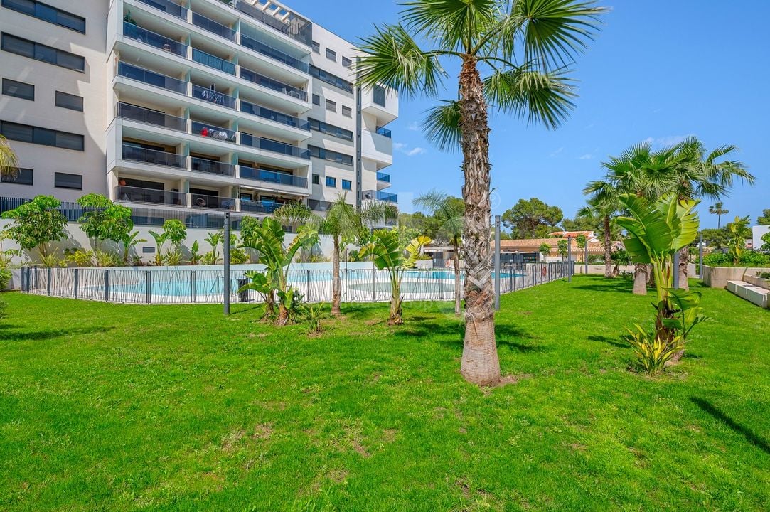 3 bedroom Apartment in Dehesa de Campoamor - CBW137069 - Photo - 41