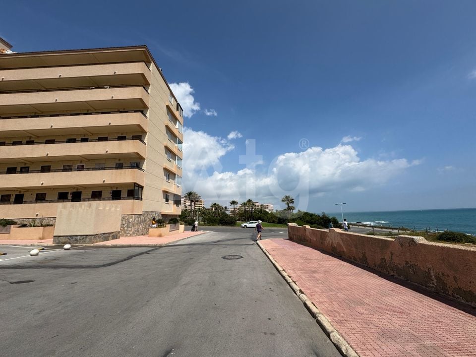 1 bedroom Apartment in Torrevieja - NSP137147 - Photo - 14