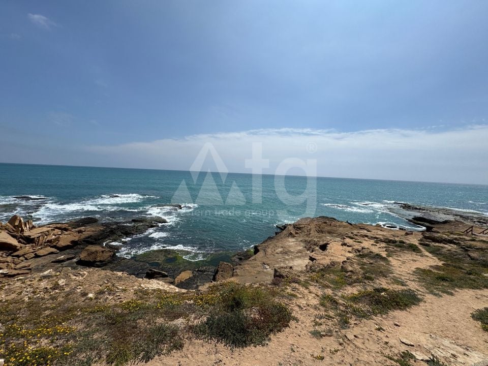 1 bedroom Apartment in Torrevieja - NSP137147 - Photo - 19