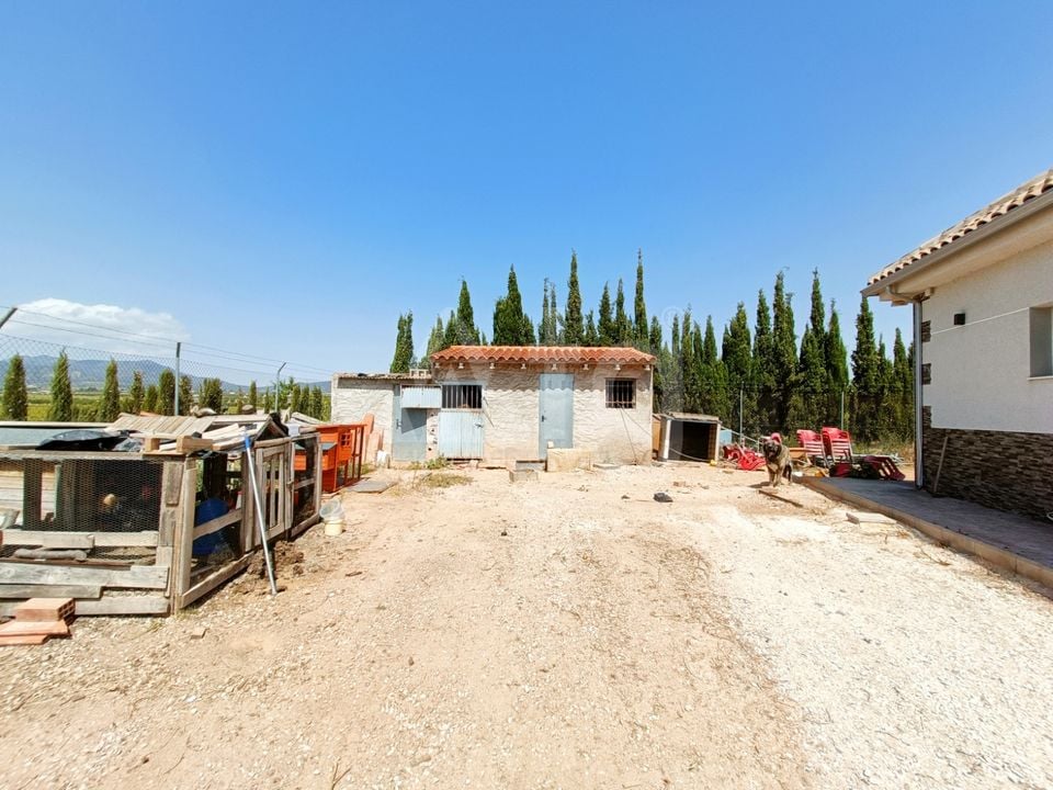 Villa de 4 chambres à Pinoso - CNM137257 - Photo - 28