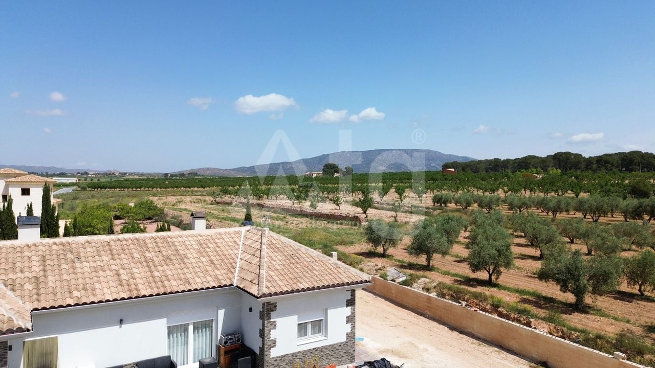 Villa de 4 chambres à Pinoso - CNM137257 - Photo - 32