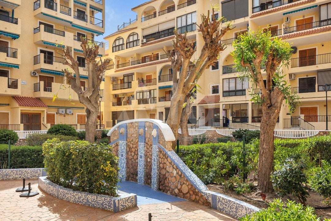 1 bedroom Apartment in La Mata - GVS137357 - Photo - 19