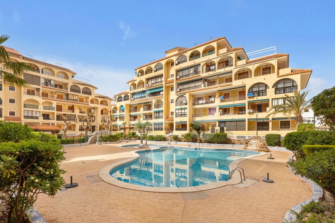 1 bedroom Apartment in La Mata - GVS137357 - Photo - 2