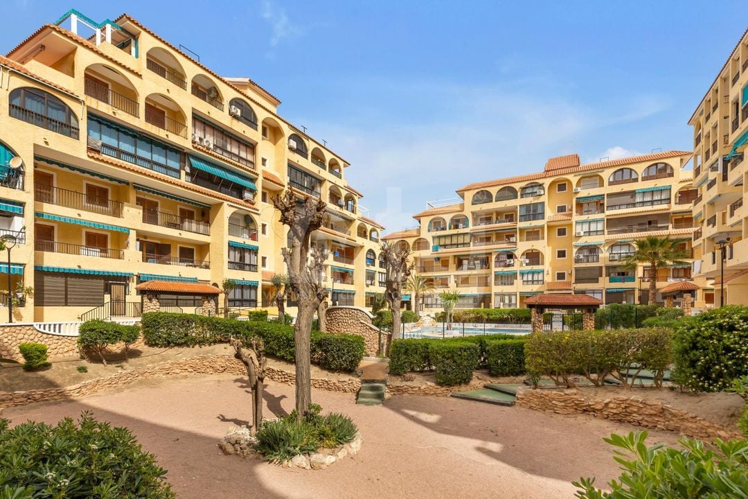 1 bedroom Apartment in La Mata - GVS137357 - Photo - 20