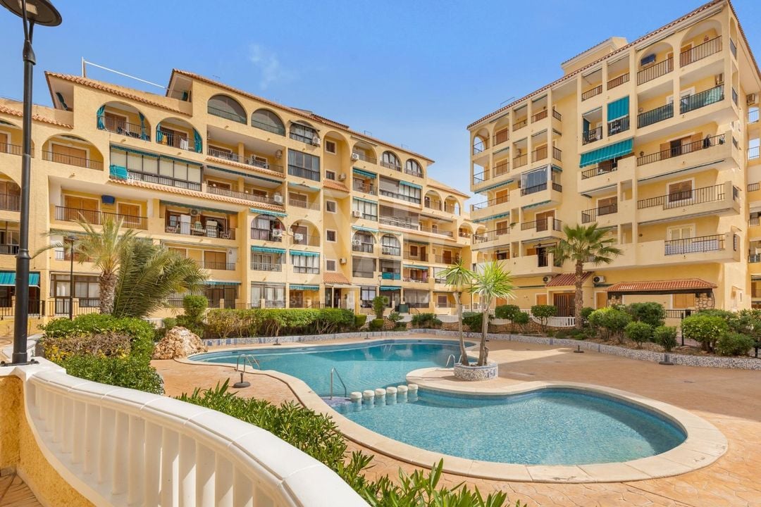 1 bedroom Apartment in La Mata - GVS137357 - Photo - 1
