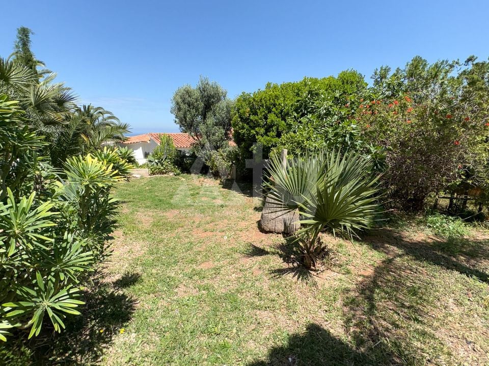 Villa de 3 chambres à Denia - EGH137364 - Photo - 21