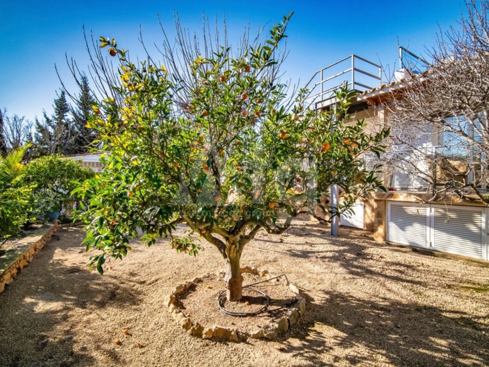 Villa de 4 chambres à Alfaz del Pi - DJP137372 - Photo - 37