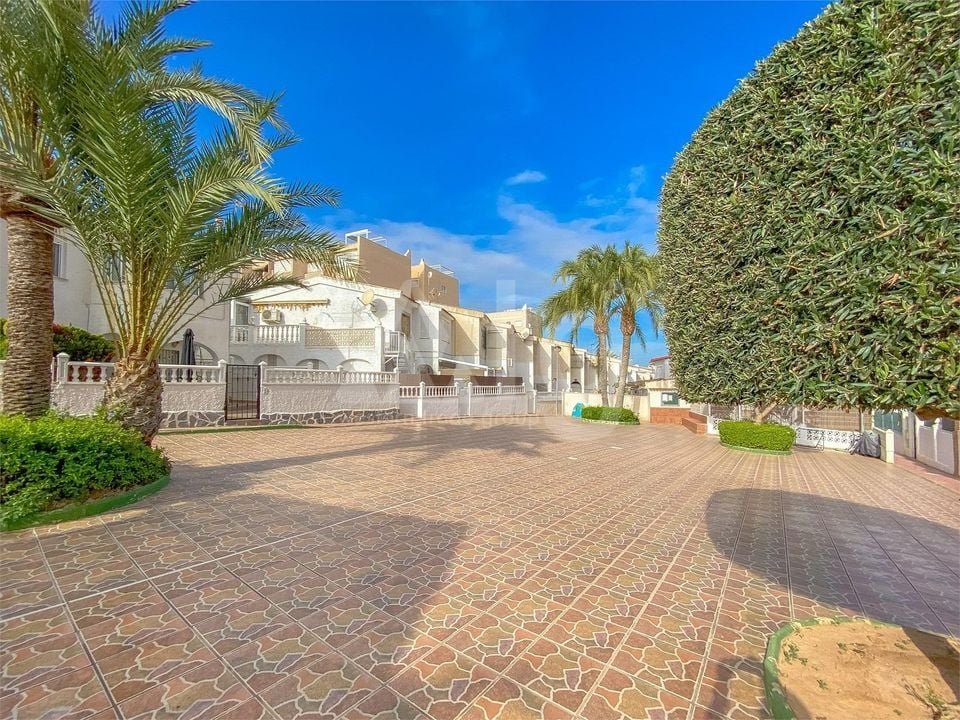 2 bedroom Bungalow in Torrevieja - ALM137649 - Photo - 2