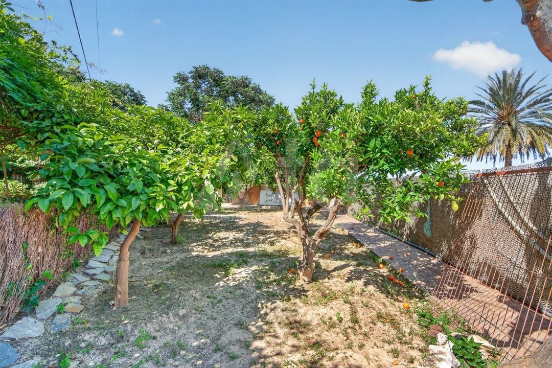 3 bedroom Villa in Orihuela - CBE137696 - Photo - 43