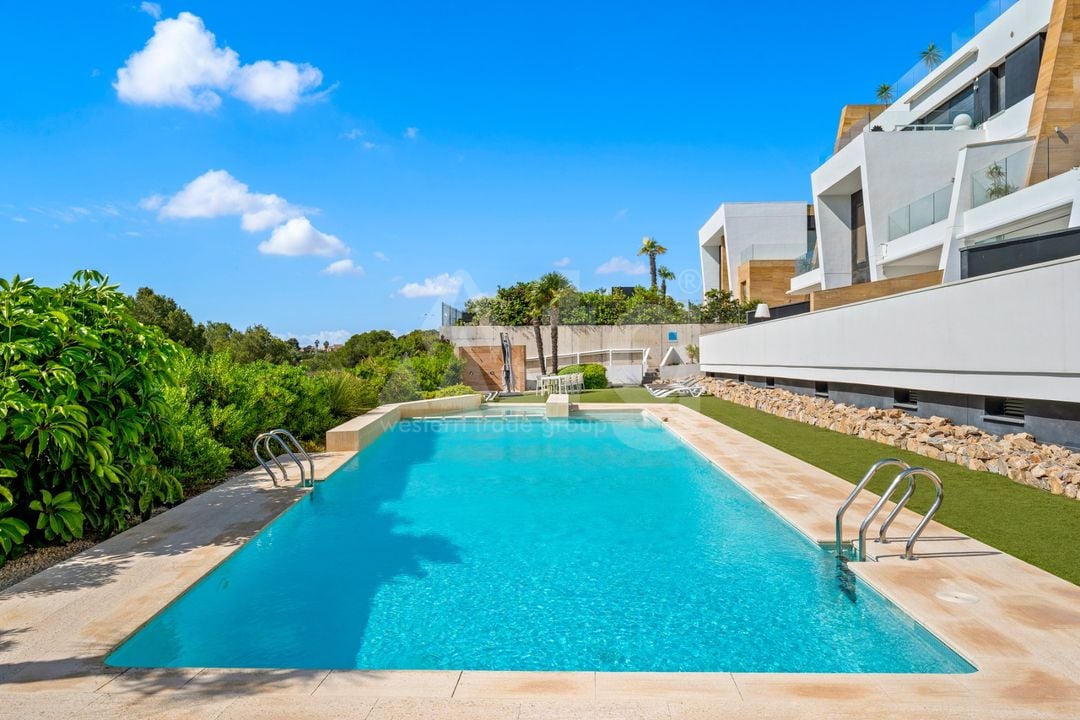 2 bedroom Apartment in Villamartin - PLM137902 - Photo - 2