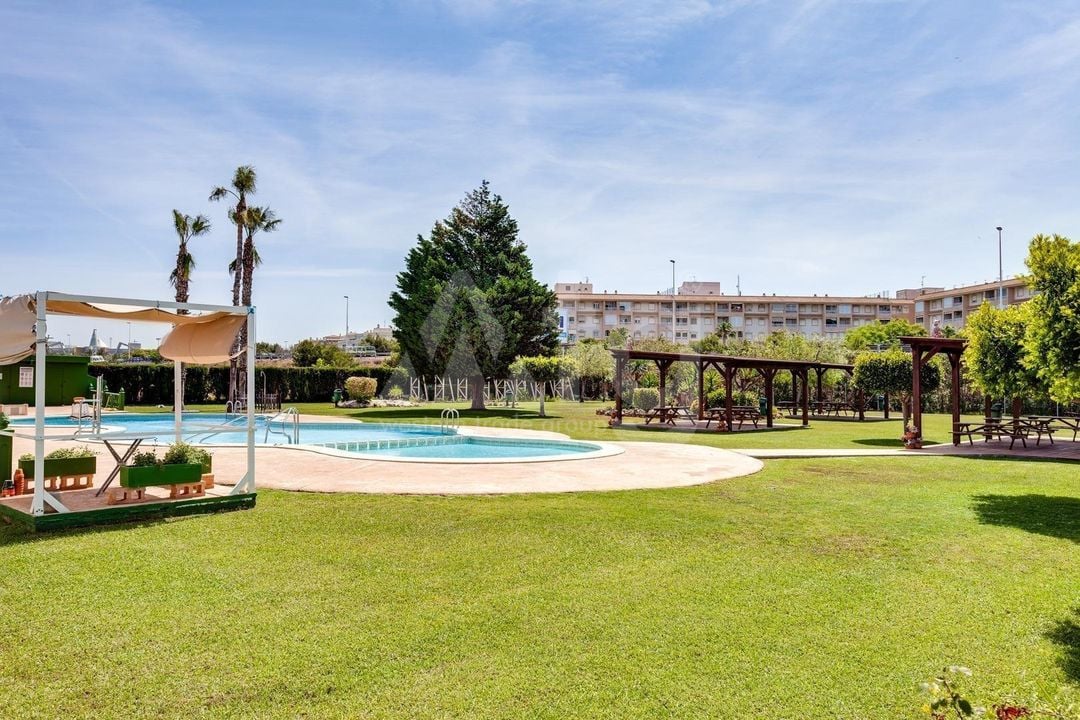 2 bedroom Penthouse in Torrevieja - SV138611 - Photo - 24