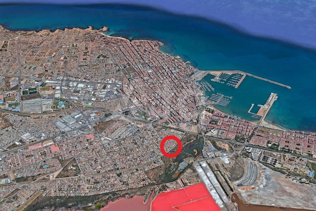 2 bedroom Penthouse in Torrevieja - SV138611 - Photo - 36