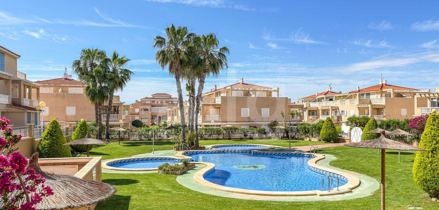3 bedroom Apartment in Playa Flamenca - MVR138688 - Photo - 30