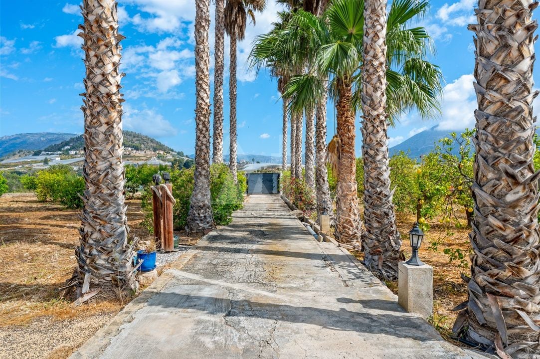 4 bedroom Villa in La Nucia - CBB138732 - Photo - 42