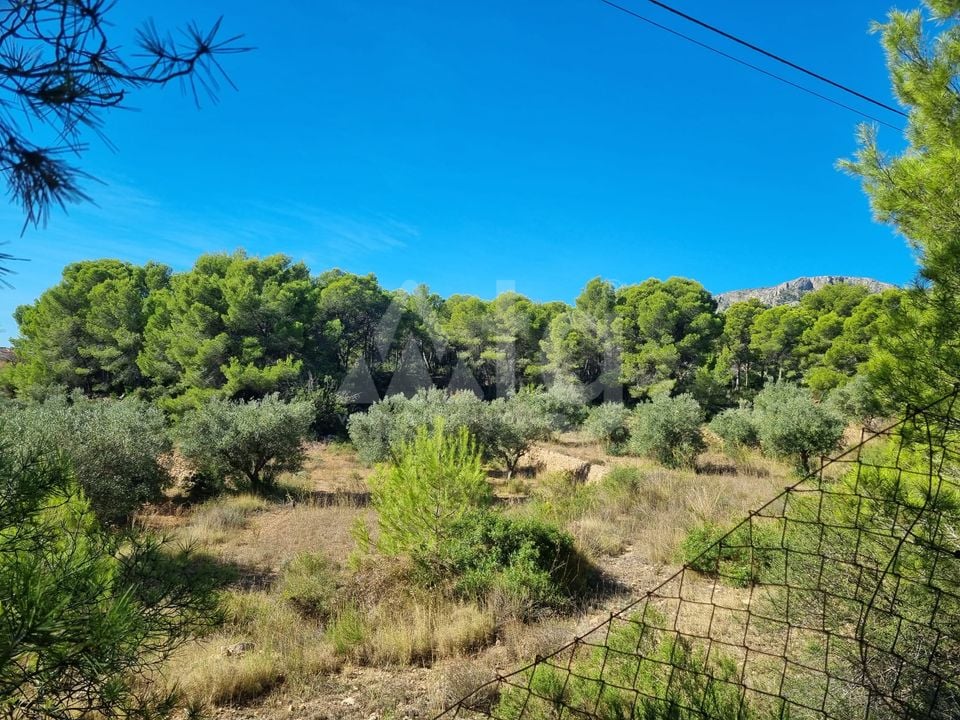 Terrain de  à Calp- VMD138857 - Photo - 2