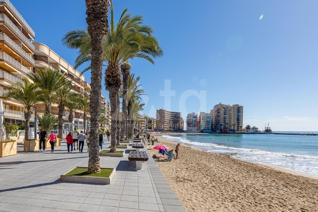 Appartement de 2 chambres à Torrevieja - MS139162 - Photo - 22