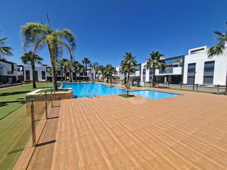 2 bedroom Apartment in Guardamar del Segura - GSSP139405 - Photo - 19
