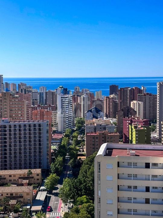 2 bedroom Apartment in Benidorm - ABC139525 - Photo - 17