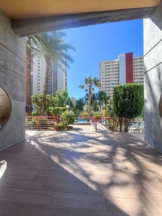 2 bedroom Apartment in Benidorm - ABC139525 - Photo - 16