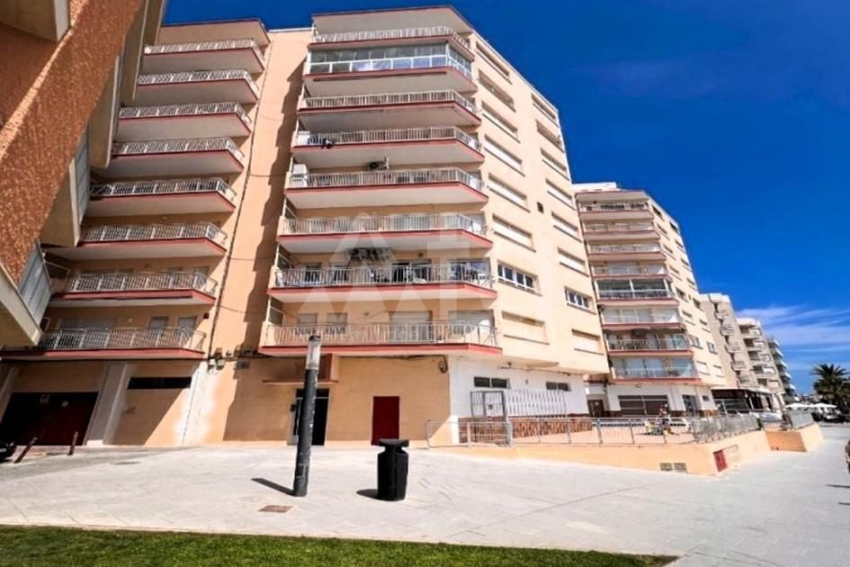 Appartement de 4 chambres à Torrevieja - SV139560 - Photo - 24