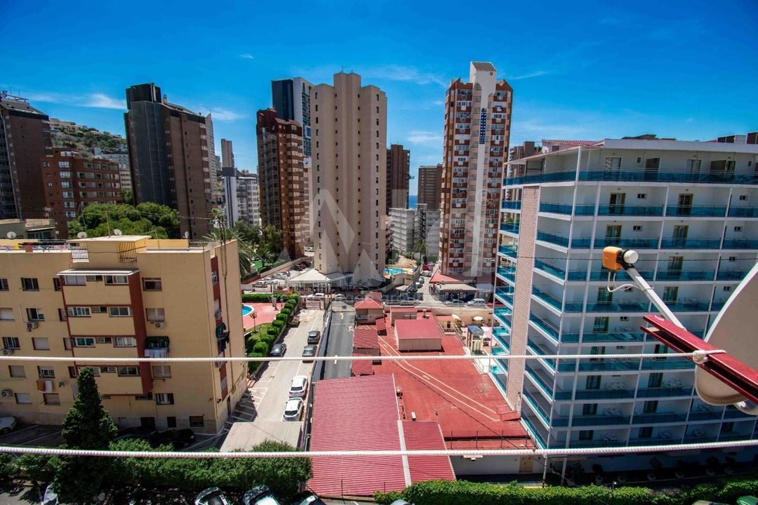 Appartement de 1 chambre à Benidorm - ABC139696 - Photo - 15