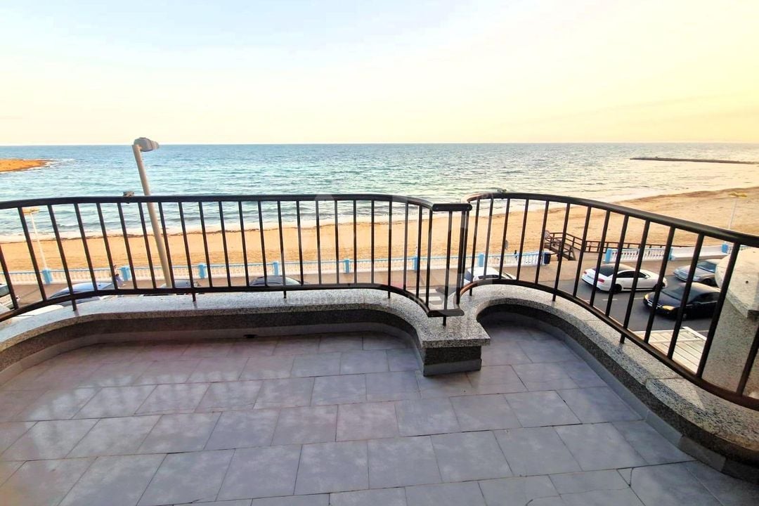 Appartement de 3 chambres à Torrevieja - SV140825 - Photo - 37