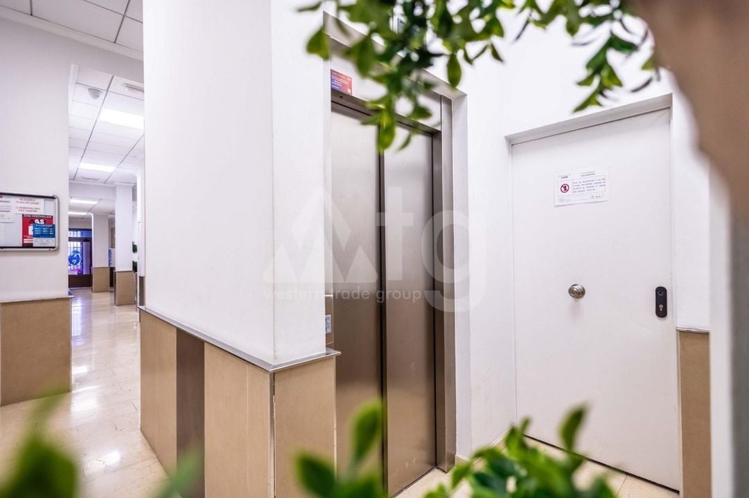 3 bedroom Apartment in Torrevieja - SV140826 - Photo - 23