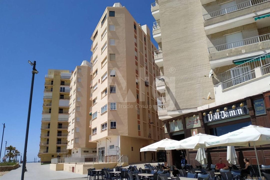 3 bedroom Apartment in Torrevieja - SV140831 - Photo - 1