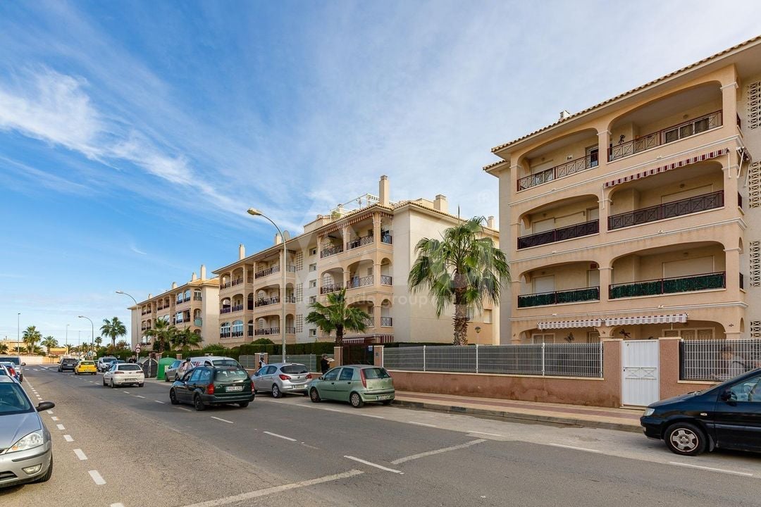 Appartement de 2 chambres à Playa Flamenca - HRE140892 - Photo - 37